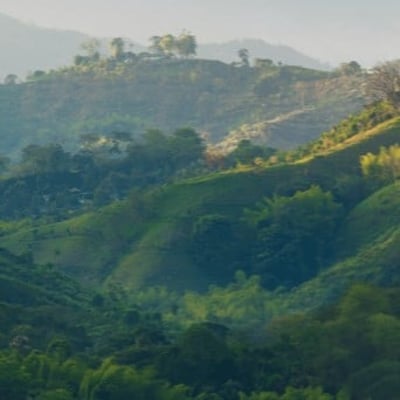 banner nachhaltigkeit