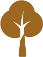 Senseo Leaf Icon